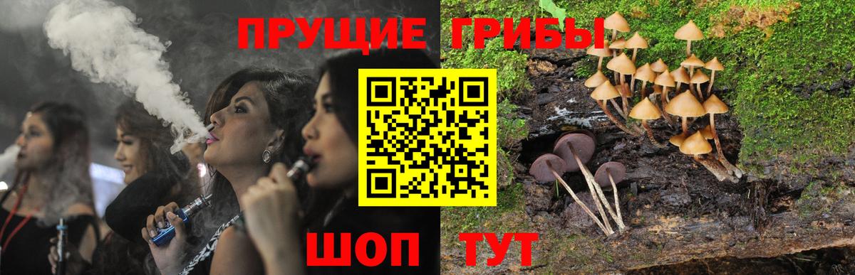 Псилоцибиновые грибы Psilocybine cubensis Санкт-Петербург