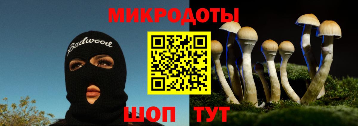 Галлюциногенные грибы Cubensis  Вход с VPN  Санкт-Петербург  Галлюциногенные грибы GOLDEN TEACHER 